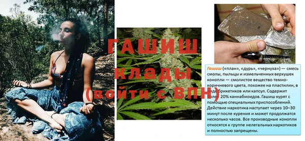 винт Абаза