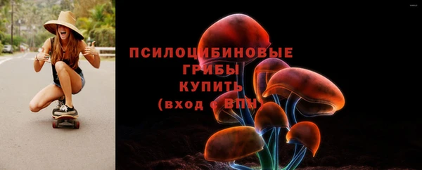 винт Абаза