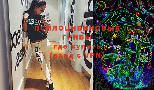 винт Абаза
