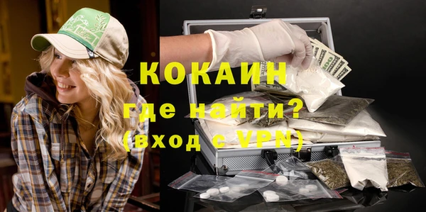 винт Абаза