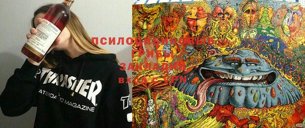 MDMA Premium VHQ Абинск