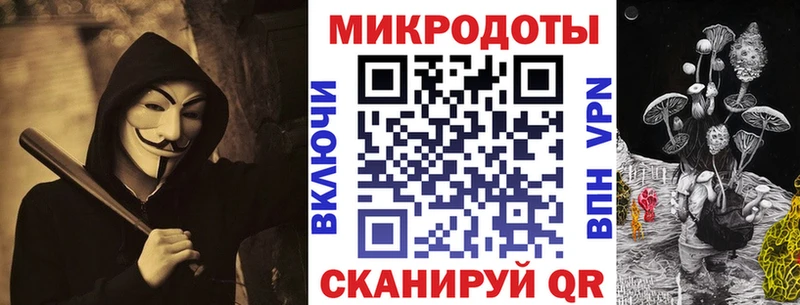 Псилоцибиновые грибы Psilocybe Ленинградская
