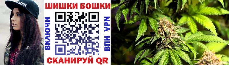 Бошки марихуана сатива Ленинградская